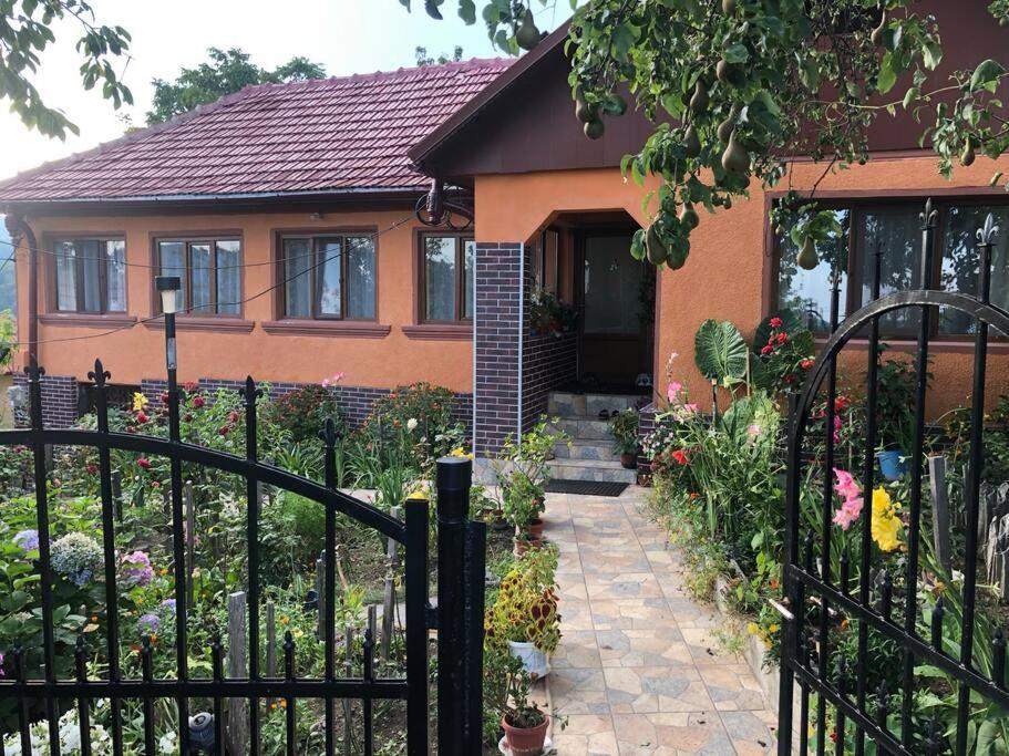 Casuta Bunicilor Isverna Hotel Kültér fotó