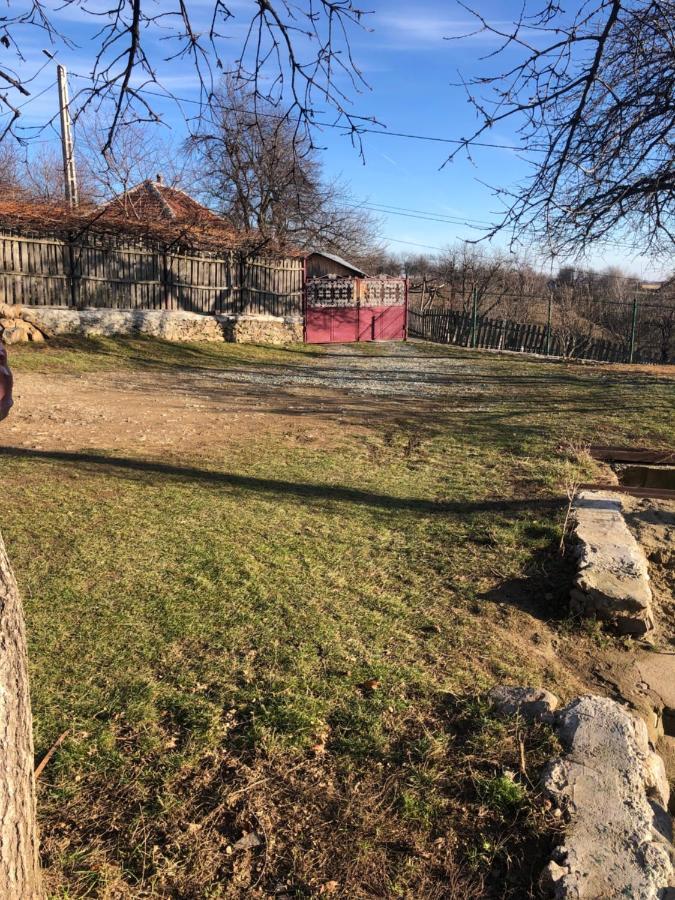 Casuta Bunicilor Isverna Hotel Kültér fotó